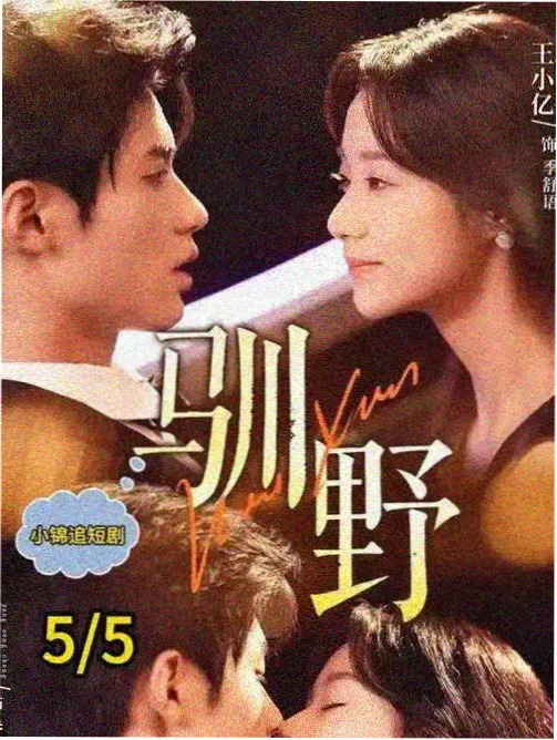 女神漫画观察条目配图：雾紫夜色与燕麦白日光的分区用色